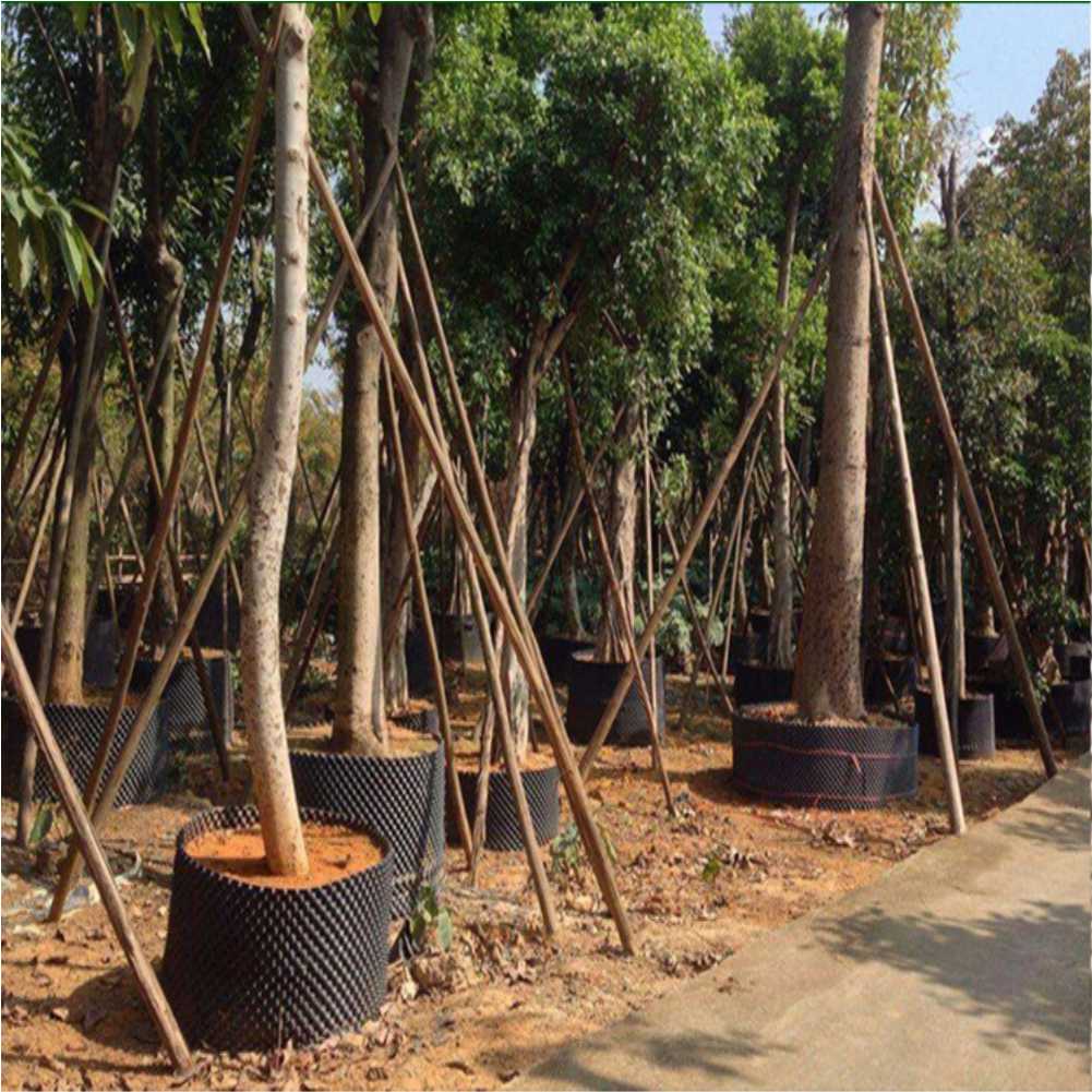 Maceta de cultivo para árboles - Outdoor Furniture In reseña y precio