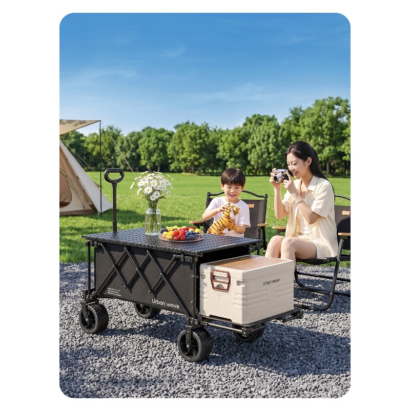 Carrito de Camping Plegable, C - Outdoor Furniture In reseña y precio