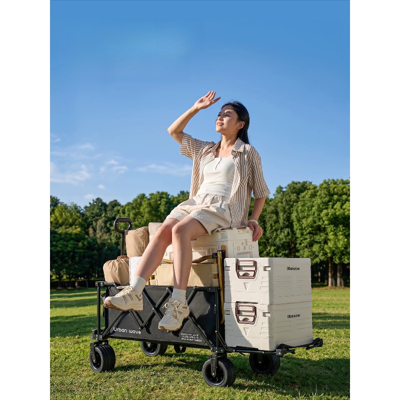 Carrito de Camping Plegable, C - Outdoor Furniture In reseña y precio
